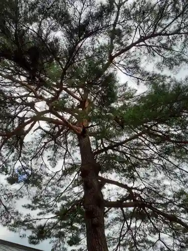 隠里寺(岩手県)