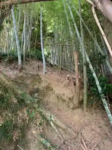 愛宕大権現(千葉県)