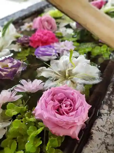 鳩森八幡神社の手水舎