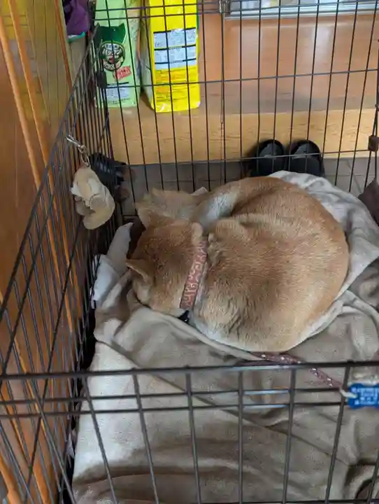 笠䅣稲荷神社(神奈川県)