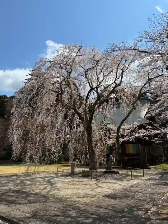 栄福寺(千葉県)