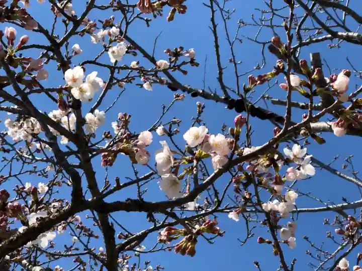 六所皇大神宮霊跡の自然