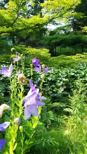 普門院（文知摺観音 安洞院）の庭園