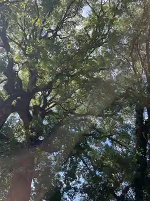 中川八幡神社(長崎県)