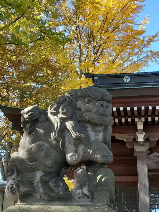 熊野福藏神社の狛犬