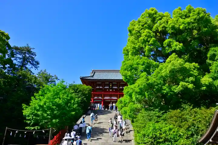 鶴岡八幡宮の本殿・本堂