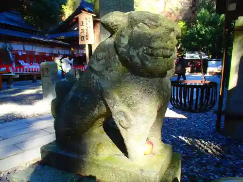 鳩ヶ嶺八幡宮の狛犬