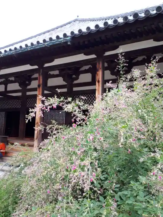 元興寺の本殿・本堂