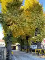 円勝寺(東京都)