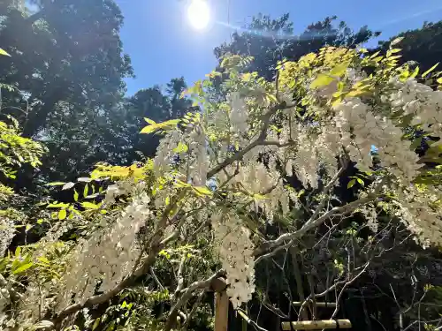 歌泉堂（春日大社神苑萬葉植物園内鎮座）(奈良県)