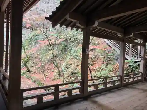 禅林寺（永観堂）(京都府)