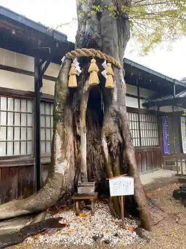 三輪坐恵比須神社の自然