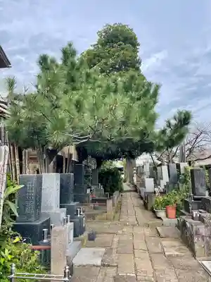 佛心寺(東京都)