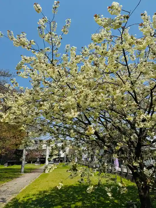 守りの神 藤基神社の自然