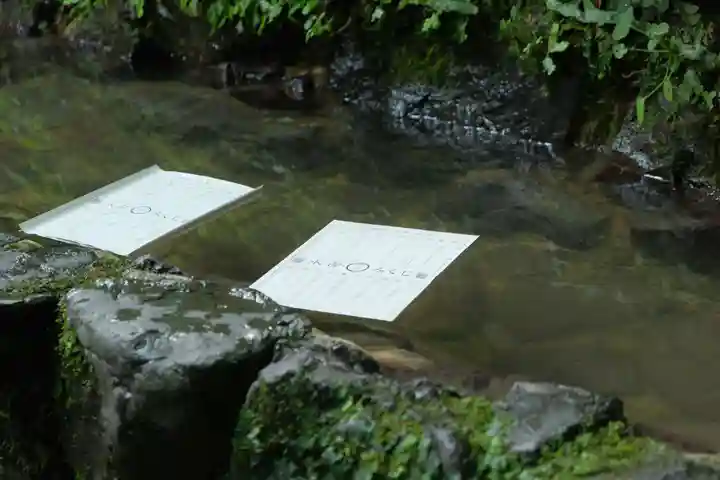 貴船神社のおみくじ