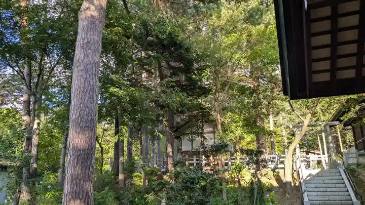 上川神社の自然