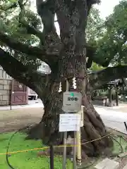 難波神社の自然