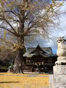 賀羅加波神社の本殿・本堂(2021年11月28日(日) 12時49分55秒投稿)