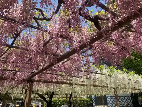 曼陀羅寺の庭園