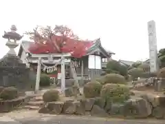 藤井秋葉社の鳥居