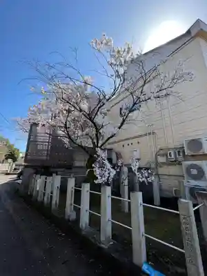手力雄神社(岐阜県)