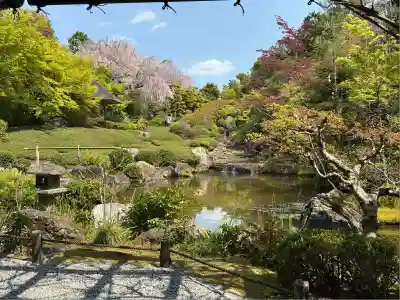 退蔵院(京都府)