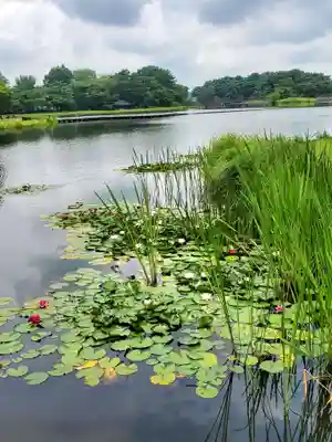 三光稲荷神社(福島県)