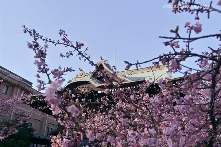 桜神宮の自然