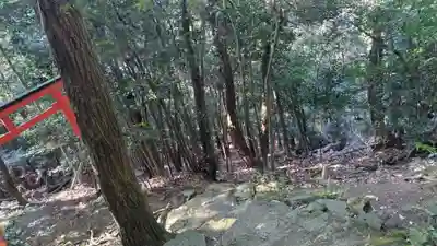 岩屋神社(京都府)