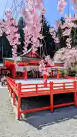 金櫻神社の{uncategorized: "未分類", other: "その他", undefined: "問題あり", building: "その他建物", grave: "お墓", sacred_gate: "鳥居", guardian: "狛犬", statue: "像", buddha: "仏像", history: "歴史", nature: "自然", garden: "庭園", animal: "動物", pagoda: "塔", temizu: "手水舎", mountain_gate: "山門・神門", sanctuary: "本殿・本堂", subordinate: "末社・摂社", art: "芸術", scenery: "景色", jizo: "地蔵", ema: "絵馬", goshuin: "御朱印", omikuji: "おみくじ", items: "授与品その他", amulet: "お守り", goshuincho: "御朱印帳", eats: "食事", festival: "お祭り", votive_dance: "神楽", shichigosan: "七五三参", wedding: "結婚式", experience: "体験その他", initially: "初詣", around: "周辺", anti_infection: "感染症対策"}