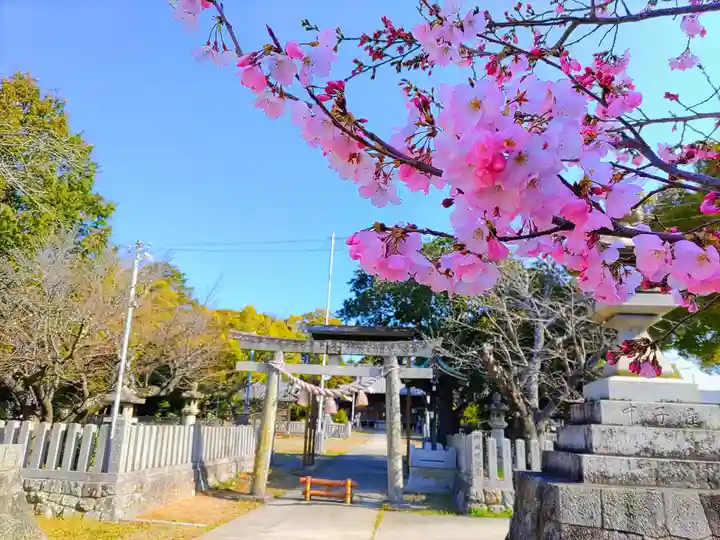 大宮神社の自然