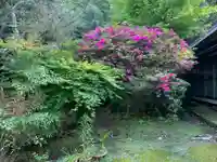 密蔵寺(千葉県)