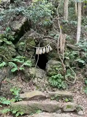 天の岩戸神社の{uncategorized: "未分類", other: "その他", undefined: "問題あり", building: "その他建物", grave: "お墓", sacred_gate: "鳥居", guardian: "狛犬", statue: "像", buddha: "仏像", history: "歴史", nature: "自然", garden: "庭園", animal: "動物", pagoda: "塔", temizu: "手水舎", mountain_gate: "山門・神門", sanctuary: "本殿・本堂", subordinate: "末社・摂社", art: "芸術", scenery: "景色", jizo: "地蔵", ema: "絵馬", goshuin: "御朱印", omikuji: "おみくじ", items: "授与品その他", amulet: "お守り", goshuincho: "御朱印帳", eats: "食事", festival: "お祭り", votive_dance: "神楽", shichigosan: "七五三参", wedding: "結婚式", experience: "体験その他", initially: "初詣", around: "周辺", anti_infection: "感染症対策"}