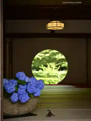 明月院(神奈川県)