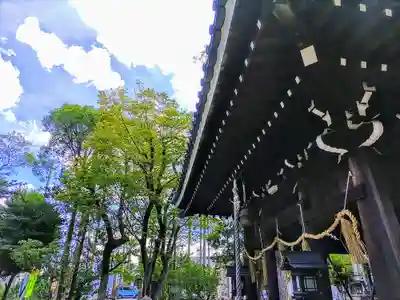 八幡社(四女子八幡社)の本殿・本堂