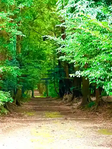 胎安神社(茨城県)