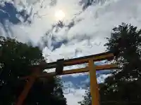 川越氷川神社(埼玉県)