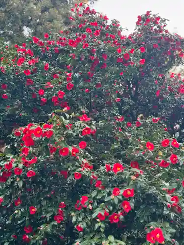 守りの神　藤基神社(新潟県)