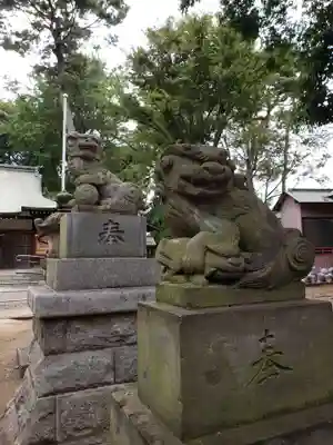 下高井戸八幡神社の狛犬