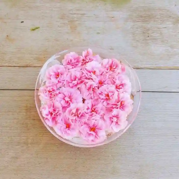 彌彦神社 (伊夜日子神社)の芸術