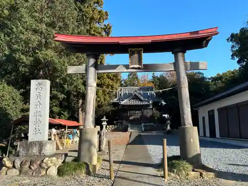 高負彦根神社の鳥居