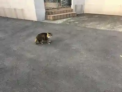 豊受神社（伊勢宿）の動物