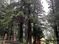 大宮温泉神社の自然