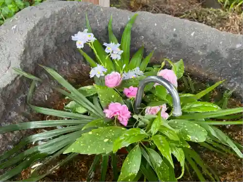 愛宕神社(福島県)