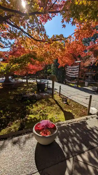 勝林寺(京都府)