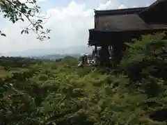 清水寺の景色