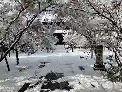 興聖寺の建物その他