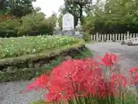 正法寺(京都府)