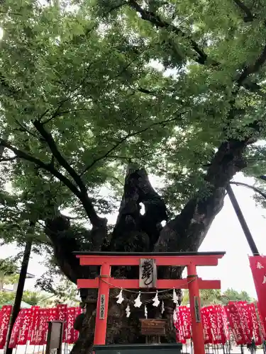 秩父今宮神社(埼玉県)