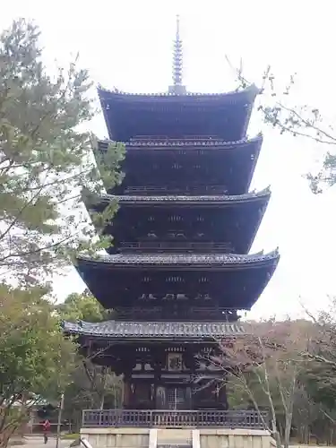 仁和寺の塔